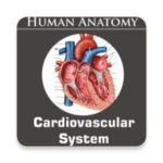 Logo of Cardiovascular System android Application 