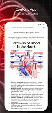 Cardiovascular System android App screenshot 0