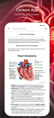 Cardiovascular System android App screenshot 1